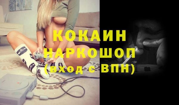 mix Инта