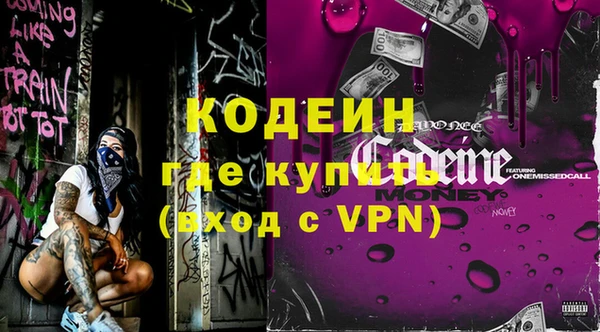 mix Инта