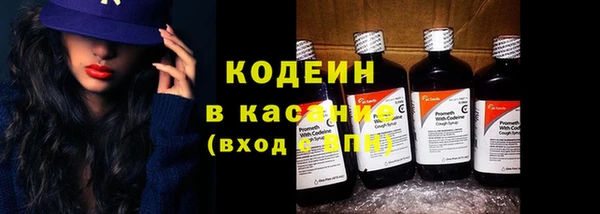 mix Инта