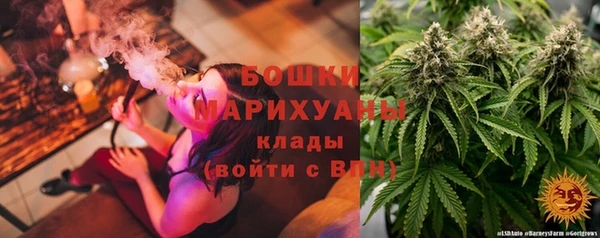 mix Инта