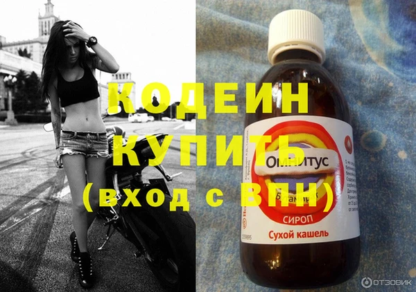 mix Инта