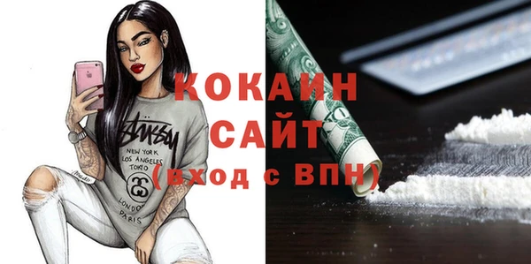гашик Каменка